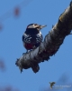 Filename=425_fotowilga~25.JPG
Filesize=221KB
Dimensions=560x700
Date added=Dec 26, 2017 425_fotowilga~25.JPG