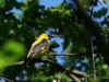 Filename=426_fotowilga~26.JPG
Filesize=258KB
Dimensions=700x525
Date added=Jun 09, 2019 426_fotowilga~26.JPG