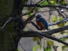 Filename=428_fotowilga~24.JPG
Filesize=284KB
Dimensions=700x525
Date added=Mar 13, 2018 428_fotowilga~24.JPG