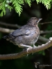 Filename=431_fotowilga~16.JPG
Filesize=271KB
Dimensions=525x700
Date added=May 31, 2018 431_fotowilga~16.JPG