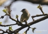 Filename=431_fotowilga~2.JPG
Filesize=102KB
Dimensions=720x514
Date added=Mar 23, 2014 431_fotowilga~2.JPG
