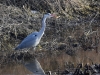 432_fotowilga~24.JPG