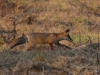 Filename=434_fotowilga~20.JPG
Filesize=321KB
Dimensions=700x525
Date added=Jan 14, 2019 434_fotowilga~20.JPG
