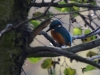 Filename=436_fotowilga~21.JPG
Filesize=290KB
Dimensions=700x525
Date added=Sep 29, 2018 436_fotowilga~21.JPG