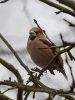 Filename=436_fotowilga~22.JPG
Filesize=234KB
Dimensions=525x700
Date added=Oct 05, 2019 436_fotowilga~22.JPG
