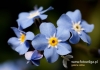 Filename=447_fotowilga~11.JPG
Filesize=78KB
Dimensions=640x452
Date added=May 04, 2016 447_fotowilga~11.JPG