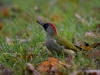 Filename=447_fotowilga~21.JPG
Filesize=293KB
Dimensions=700x525
Date added=Feb 12, 2018 447_fotowilga~21.JPG