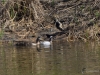Filename=448_fotowilga~24.JPG
Filesize=404KB
Dimensions=700x525
Date added=May 17, 2020 448_fotowilga~24.JPG