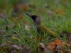 Filename=449_fotowilga~19.JPG
Filesize=277KB
Dimensions=700x525
Date added=Jan 11, 2018 449_fotowilga~19.JPG
