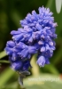 Filename=450_fotowilga~8.JPG
Filesize=67KB
Dimensions=339x480
Date added=May 02, 2016 450_fotowilga~8.JPG