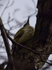 Filename=452_fotowilga~17.JPG
Filesize=239KB
Dimensions=525x700
Date added=Dec 01, 2017 452_fotowilga~17.JPG