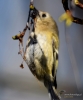 Filename=452_fotowilga~18.JPG
Filesize=260KB
Dimensions=586x700
Date added=Mar 16, 2019 452_fotowilga~18.JPG