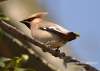 Filename=452_fotowilga~5.JPG
Filesize=90KB
Dimensions=640x457
Date added=Sep 30, 2014 452_fotowilga~5.JPG