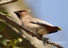 Filename=453_fotowilga~3.JPG
Filesize=92KB
Dimensions=640x457
Date added=Oct 19, 2014 453_fotowilga~3.JPG