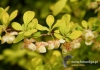 Filename=457_fotowilga~11.JPG
Filesize=91KB
Dimensions=640x452
Date added=May 04, 2016 457_fotowilga~11.JPG