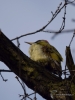 Filename=459_fotowilga~15.JPG
Filesize=215KB
Dimensions=525x700
Date added=Jan 04, 2018 459_fotowilga~15.JPG