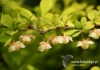 Filename=460_fotowilga~6.JPG
Filesize=84KB
Dimensions=640x452
Date added=May 04, 2016 460_fotowilga~6.JPG