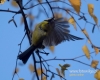 Filename=461_fotowilga~21.JPG
Filesize=73KB
Dimensions=600x480
Date added=Nov 30, 2017 461_fotowilga~21.JPG