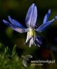 Filename=467_fotowilga~11.JPG
Filesize=63KB
Dimensions=399x480
Date added=Apr 10, 2017 467_fotowilga~11.JPG