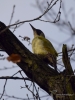 Filename=468_fotowilga~17.JPG
Filesize=231KB
Dimensions=525x700
Date added=Feb 13, 2018 468_fotowilga~17.JPG