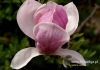 Filename=476_fotowilga~15.JPG
Filesize=80KB
Dimensions=640x452
Date added=Mar 01, 2017 476_fotowilga~15.JPG