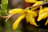 Filename=480_fotowilga~18.JPG
Filesize=193KB
Dimensions=700x473
Date added=Apr 19, 2017 480_fotowilga~18.JPG