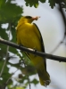 Filename=481_fotowilga~14.JPG
Filesize=217KB
Dimensions=519x700
Date added=Jan 23, 2019 481_fotowilga~14.JPG