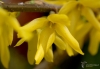 Filename=482_fotowilga~16.JPG
Filesize=198KB
Dimensions=700x486
Date added=Apr 19, 2017 482_fotowilga~16.JPG