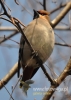Filename=482_fotowilga~5.JPG
Filesize=82KB
Dimensions=343x480
Date added=Feb 08, 2015 482_fotowilga~5.JPG