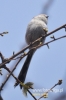 484_fotowilga~2.JPG