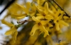 Filename=484_fotowilga~22.JPG
Filesize=203KB
Dimensions=700x451
Date added=Apr 19, 2017 484_fotowilga~22.JPG