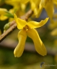 Filename=486_fotowilga~17.JPG
Filesize=254KB
Dimensions=576x700
Date added=Apr 19, 2017 486_fotowilga~17.JPG