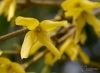 Filename=487_fotowilga~15.JPG
Filesize=218KB
Dimensions=700x511
Date added=Apr 19, 2017 487_fotowilga~15.JPG