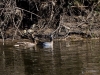 487_fotowilga~26.JPG