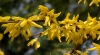 Filename=488_fotowilga~14.JPG
Filesize=196KB
Dimensions=700x385
Date added=Apr 19, 2017 488_fotowilga~14.JPG