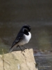 Filename=488_fotowilga~20.JPG
Filesize=213KB
Dimensions=525x700
Date added=Jul 03, 2019 488_fotowilga~20.JPG