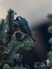 Filename=489_fotowilga~23.JPG
Filesize=269KB
Dimensions=525x700
Date added=Oct 22, 2018 489_fotowilga~23.JPG