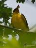 Filename=489_fotowilga~24.JPG
Filesize=207KB
Dimensions=519x700
Date added=Jan 23, 2019 489_fotowilga~24.JPG
