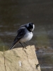 Filename=490_fotowilga~25.JPG
Filesize=225KB
Dimensions=525x700
Date added=Jun 28, 2019 490_fotowilga~25.JPG