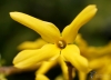 Filename=492_fotowilga~15.JPG
Filesize=201KB
Dimensions=700x504
Date added=Apr 19, 2017 492_fotowilga~15.JPG