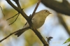 Filename=492_fotowilga~6.JPG
Filesize=248KB
Dimensions=720x480
Date added=Aug 25, 2014 492_fotowilga~6.JPG