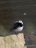 Filename=495_fotowilga~12.JPG
Filesize=221KB
Dimensions=525x700
Date added=Jun 30, 2019 495_fotowilga~12.JPG