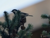 496_fotowilga~15.JPG