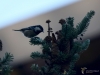 Filename=499_fotowilga~17.JPG
Filesize=226KB
Dimensions=700x525
Date added=Oct 22, 2018 499_fotowilga~17.JPG