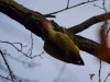 Filename=506_fotowilga~18.JPG
Filesize=210KB
Dimensions=700x525
Date added=Jan 22, 2018 506_fotowilga~18.JPG