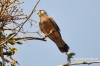 Filename=507_fotowilga~0.JPG
Filesize=93KB
Dimensions=720x480
Date added=May 14, 2013 507_fotowilga~0.JPG