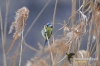 Filename=511_fotowilga.JPG
Filesize=100KB
Dimensions=720x480
Date added=Apr 24, 2013 511_fotowilga.JPG