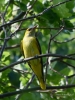 Filename=511_fotowilga~10.JPG
Filesize=305KB
Dimensions=525x700
Date added=Jun 15, 2019 511_fotowilga~10.JPG