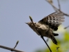 Filename=511_fotowilga~19.JPG
Filesize=193KB
Dimensions=700x525
Date added=Oct 29, 2019 511_fotowilga~19.JPG