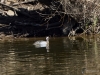 511_fotowilga~20.JPG